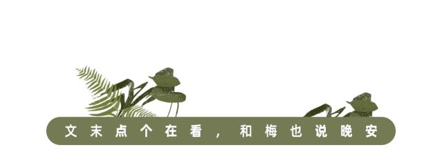 学会非暴力沟通的四个要素,非暴力沟通能让人变得开朗吗