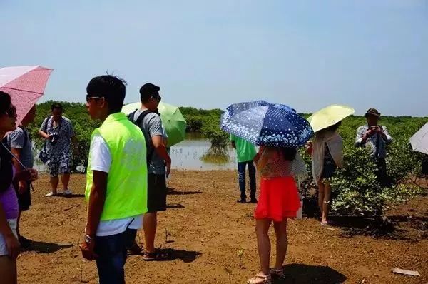 七彩贝丘湾海滩,七彩贝丘湾攻略