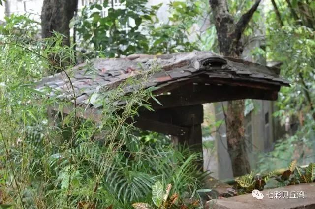 七彩贝丘湾海滩,七彩贝丘湾攻略