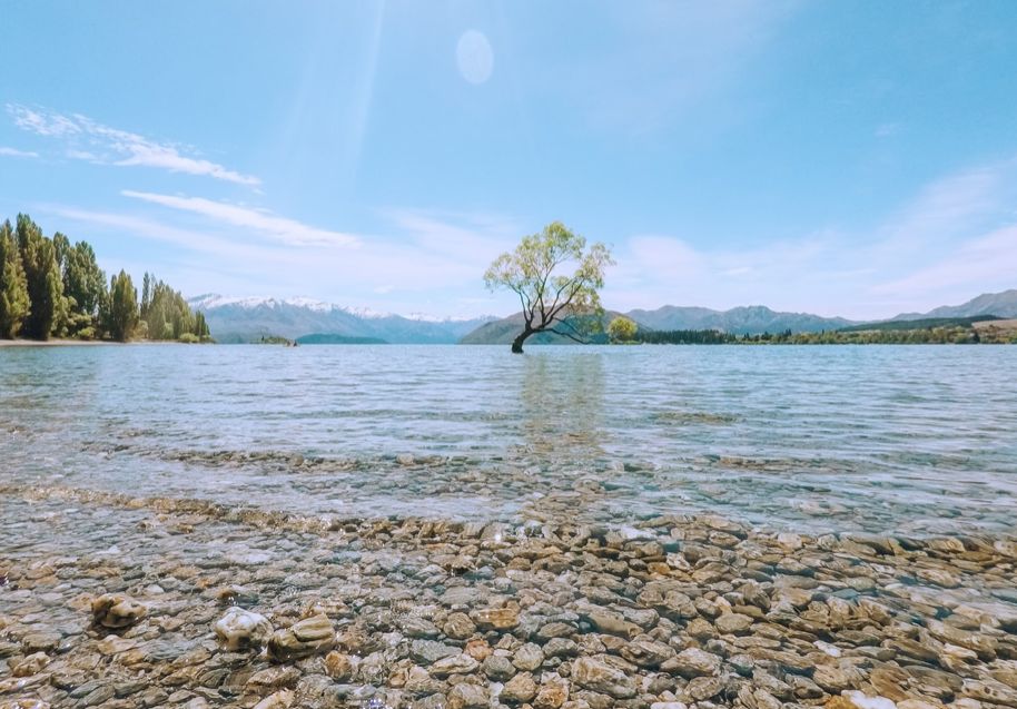 湿巾不能乱用,新西兰人这么操作...