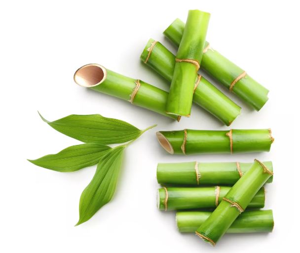 湿巾不能乱用,新西兰人这么操作...