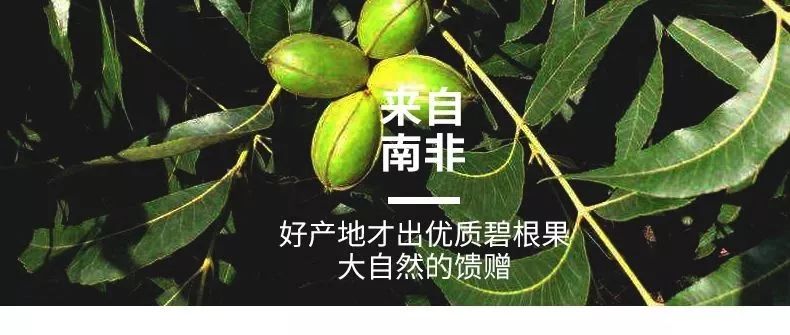 年货坚果果干,年货大礼包干果坚果