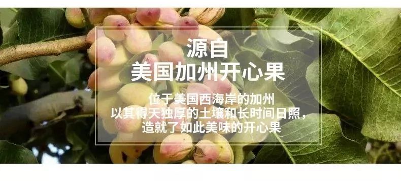 年货坚果果干,年货大礼包干果坚果