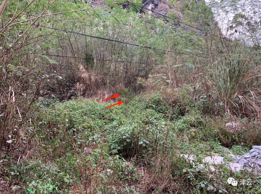 一桩陈年杀人案,两人喊冤30载:三个“凶犯”都不熟,去杀人不怕败露吗?