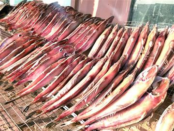 新年第一晒海边“晒鱼场”鱼干飘鲜香