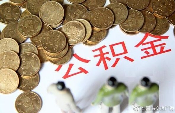 郑州奥利给现状 (郑州奥利给最新消息)