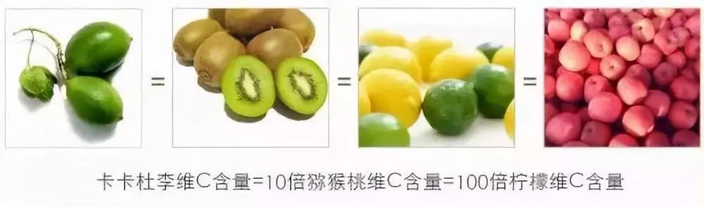 晚上应该是男人最忙的时候,晚上才是男人独处的时间