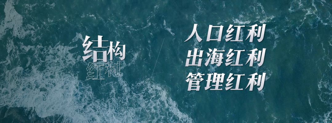 2019潜行者电视剧解说,2021年版潜行者