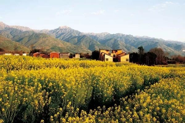 有必要去博物馆玩吗,值得一看的小众博物馆
