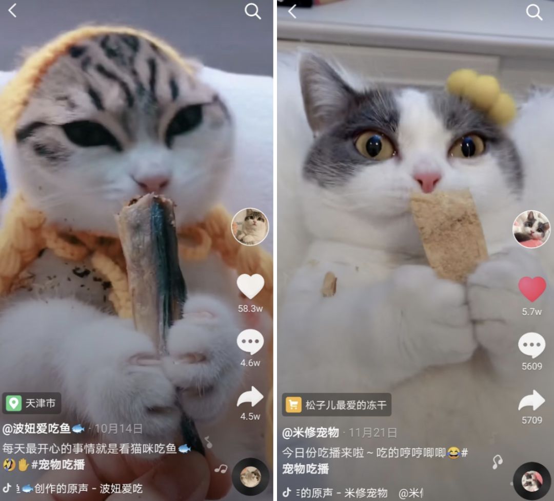 抖音大胃王4个月涨粉1400万!「浪胃仙」是怎么火起来的?