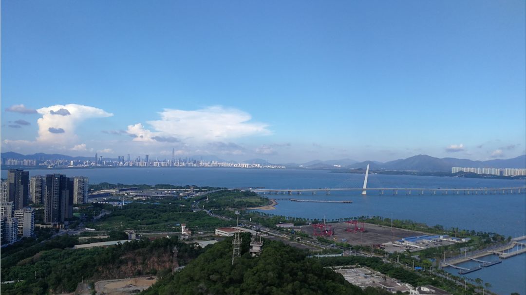 深圳湾新盘价格,深圳湾新楼盘最新价格