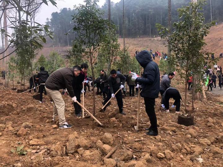 早读社︱浙江一幢楼年税收近十个亿啥地方？