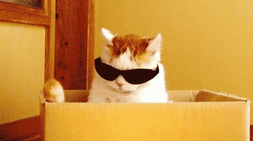 coco冬天必点奶茶攻略,一点点coco是什么