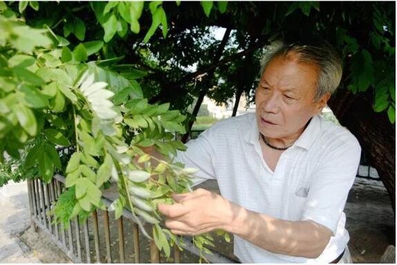江苏宿豫:平凡的光芒点亮城市,让这一年更有温度