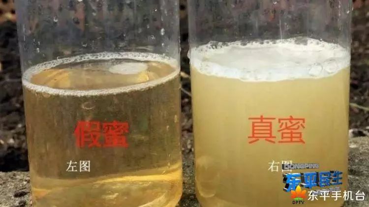 明矾白糖怎样制作蜂蜜,白糖红糖明矾制作蜂蜜