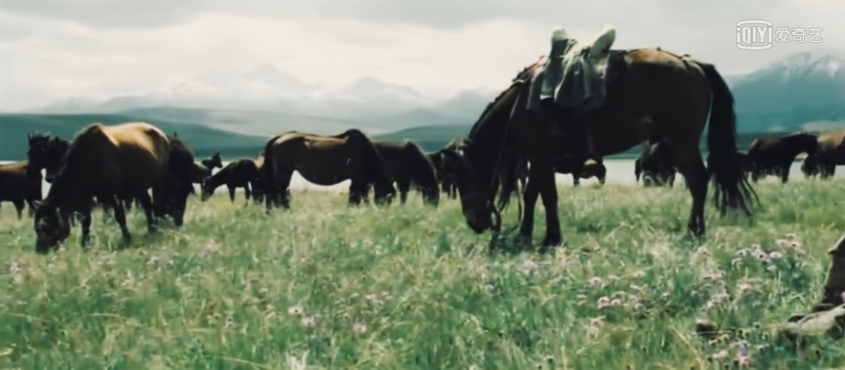 37年后牧马人再度爆红,为什么牧马人最火