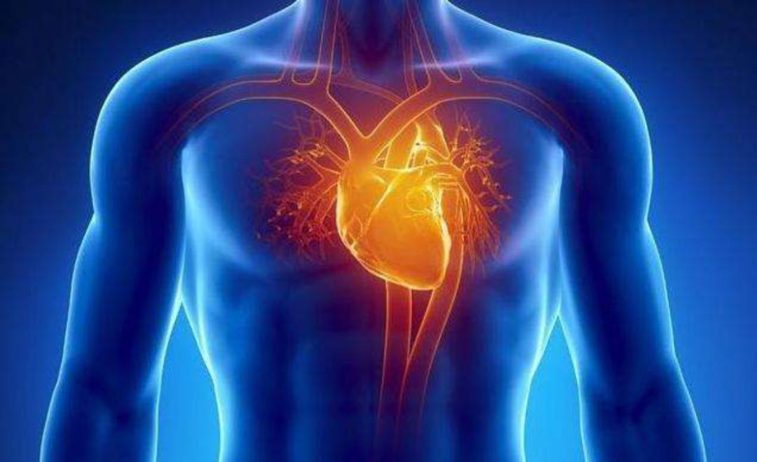 半夜肚子疼是癌症的前兆,半夜肚子疼可能是什么病