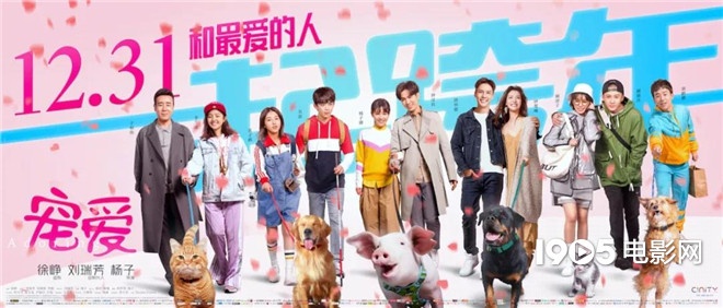 称霸元旦档的TA们,凭啥在银幕上备受宠爱?