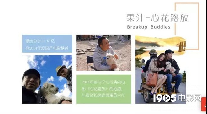 称霸元旦档的TA们,凭啥在银幕上备受宠爱?