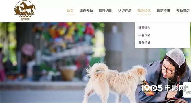 称霸元旦档的TA们,凭啥在银幕上备受宠爱?