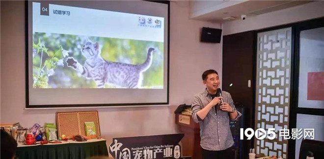 称霸元旦档的TA们,凭啥在银幕上备受宠爱?