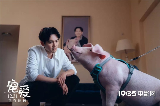 称霸元旦档的TA们,凭啥在银幕上备受宠爱?