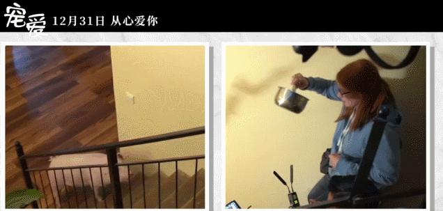 称霸元旦档的TA们,凭啥在银幕上备受宠爱?