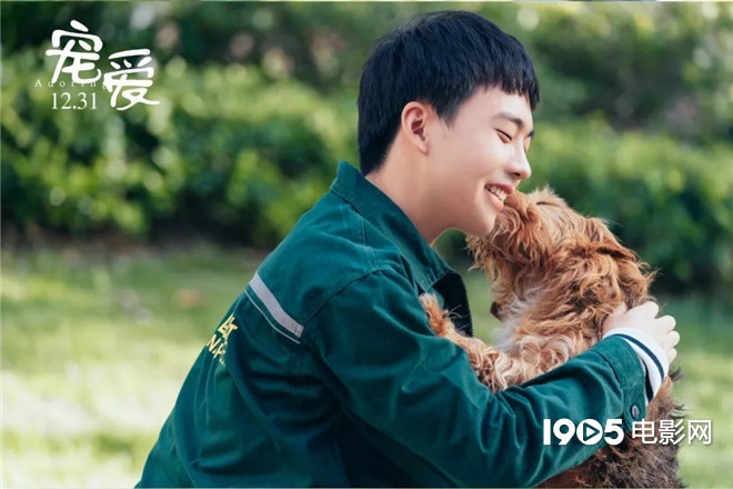 称霸元旦档的TA们,凭啥在银幕上备受宠爱?