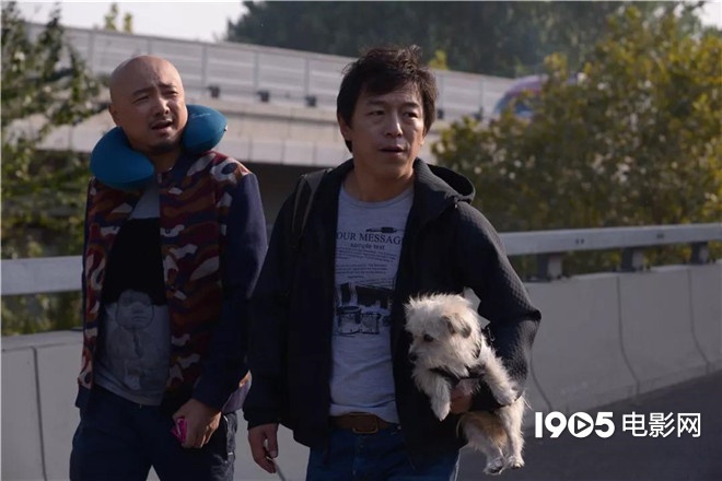 称霸元旦档的TA们,凭啥在银幕上备受宠爱?