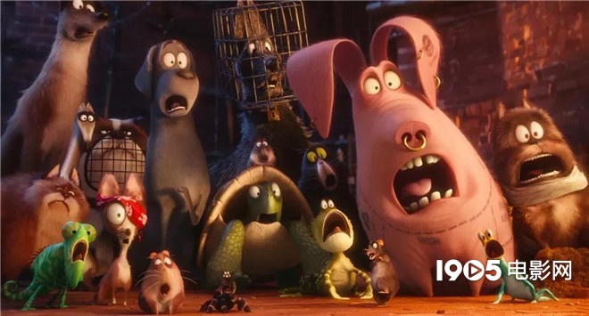 称霸元旦档的TA们,凭啥在银幕上备受宠爱?