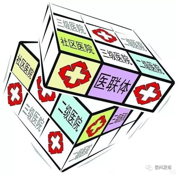 医联体是什么,钦州医联体最新消息