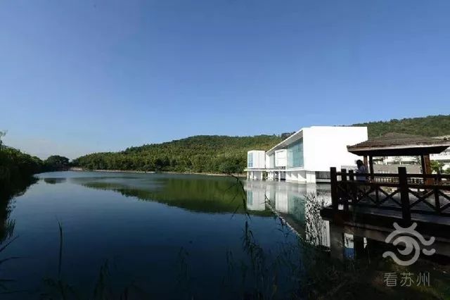 重磅！苏州这所高校开了新专业