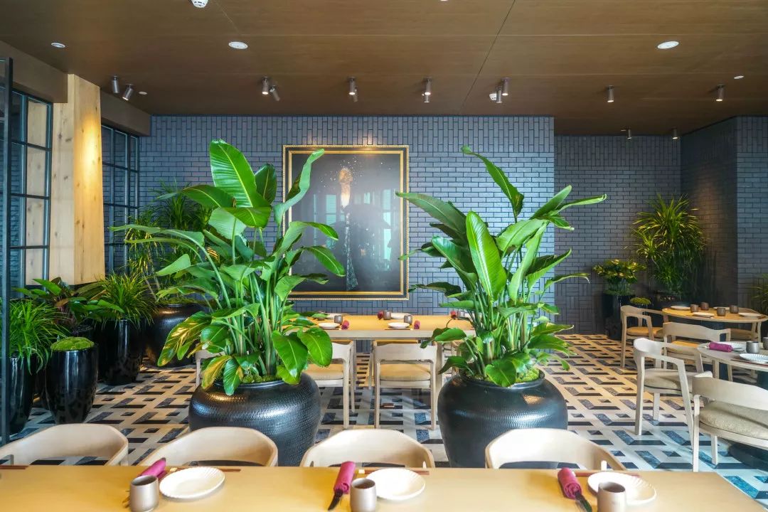 全球最高酒店广州瑰丽,广州最豪华瑰丽酒店