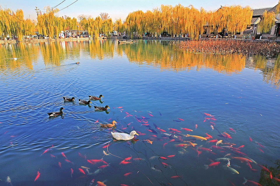 济南的冬天如诗如画,济南的冬天和小城之冬有什么区别