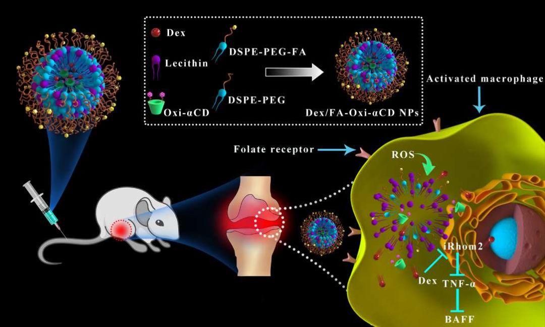 BioDaily丨Biomaterials，NanoLett，Theranostics成果速递20200103