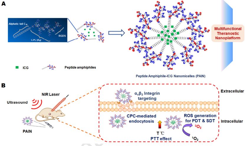 BioDaily丨Biomaterials，NanoLett，Theranostics成果速递20200103