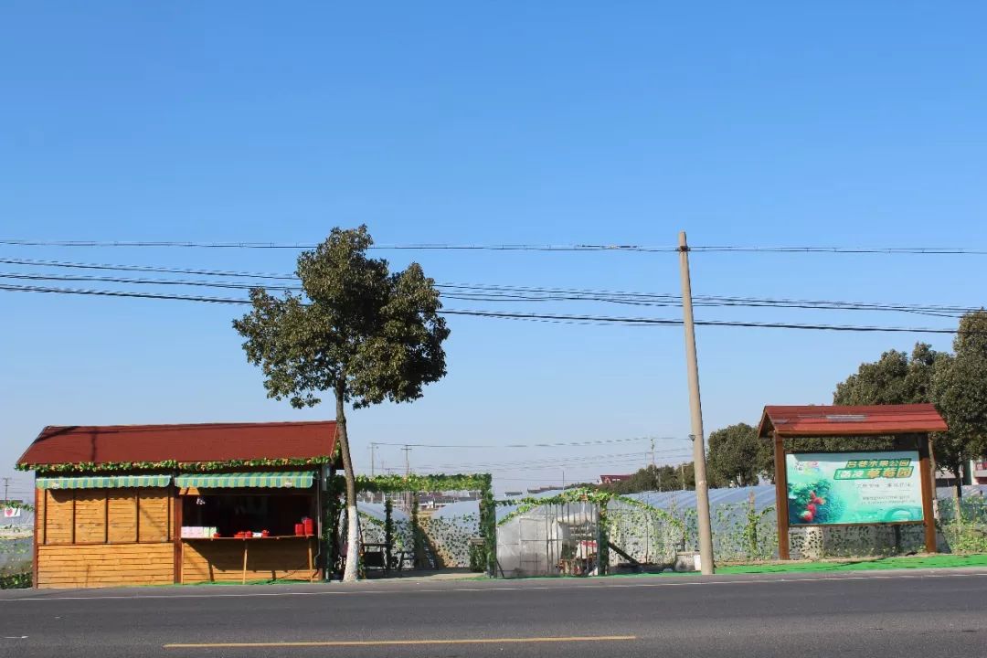 最便宜的草莓采摘方法,草莓采摘攻略怎样摘下来