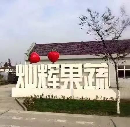 最便宜的草莓采摘方法,草莓采摘攻略怎样摘下来