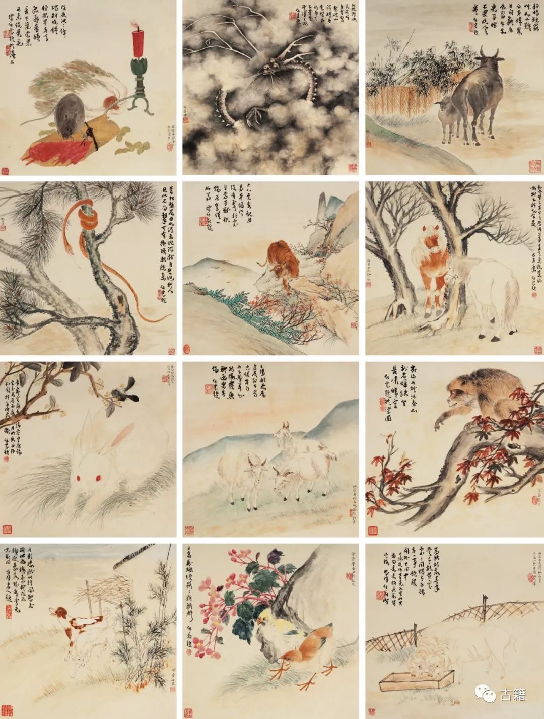 天干地支和生肖与八卦,十二地支与生肖讲解