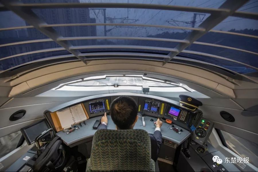 365天，行走3.2万千米，拍摄13万张照片！黄石人到底有多“野”？