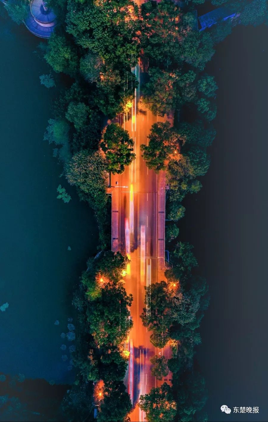 365天，行走3.2万千米，拍摄13万张照片！黄石人到底有多“野”？