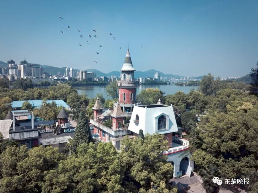 365天，行走3.2万千米，拍摄13万张照片！黄石人到底有多“野”？