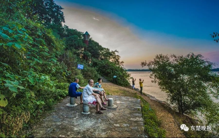 365天，行走3.2万千米，拍摄13万张照片！黄石人到底有多“野”？