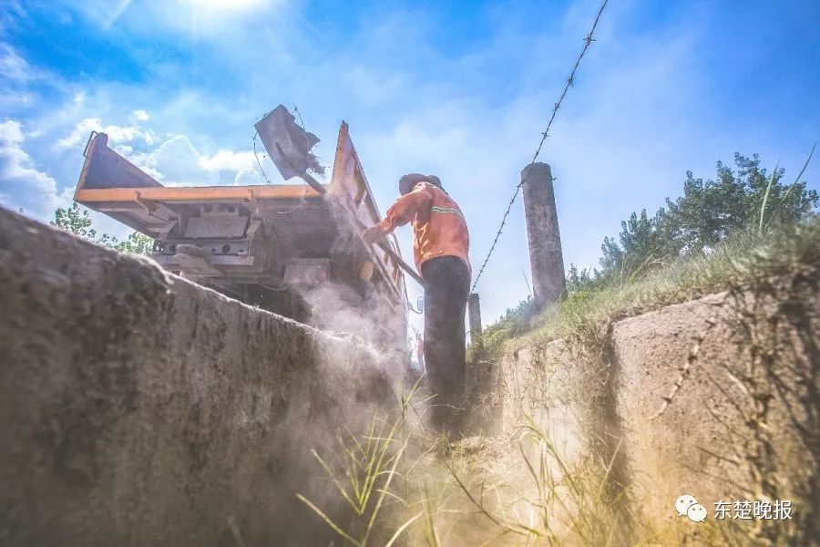 365天，行走3.2万千米，拍摄13万张照片！黄石人到底有多“野”？