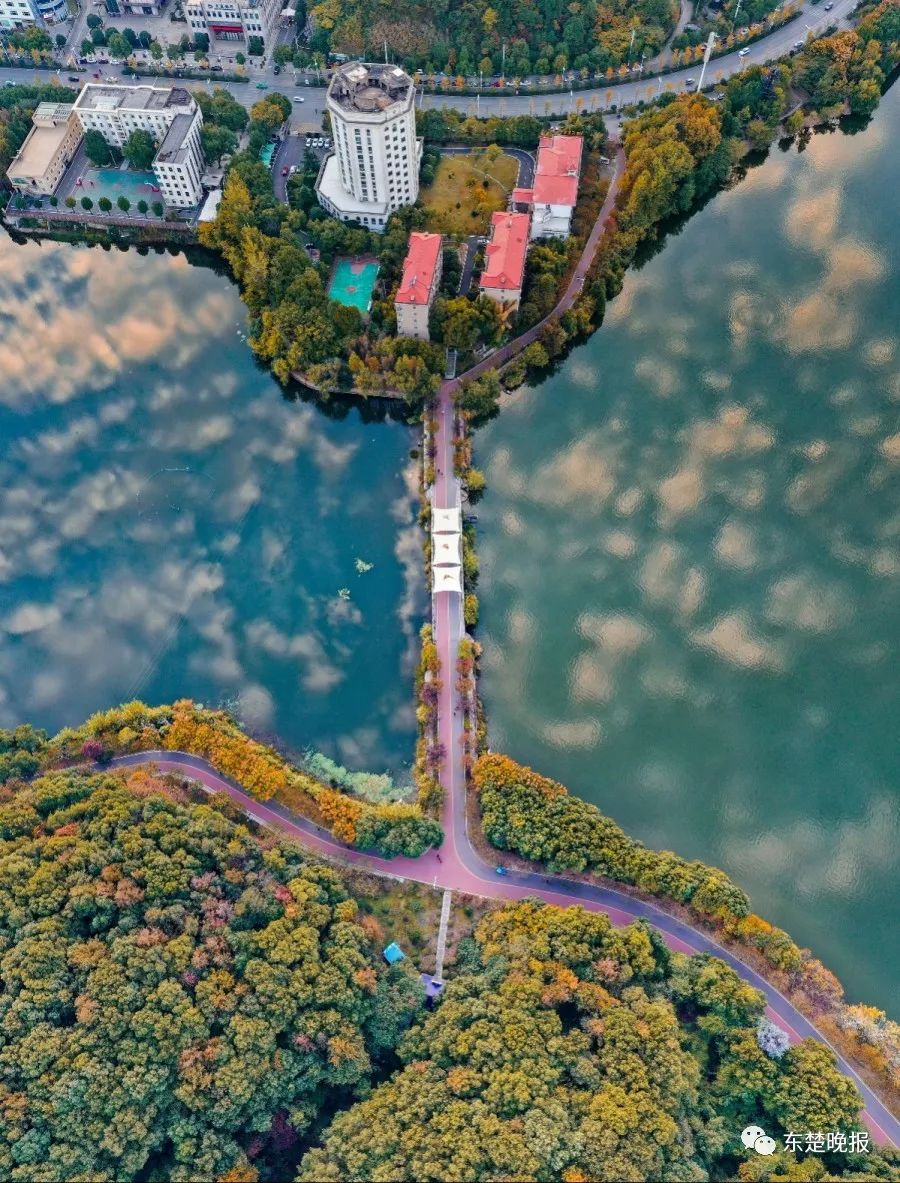 365天，行走3.2万千米，拍摄13万张照片！黄石人到底有多“野”？