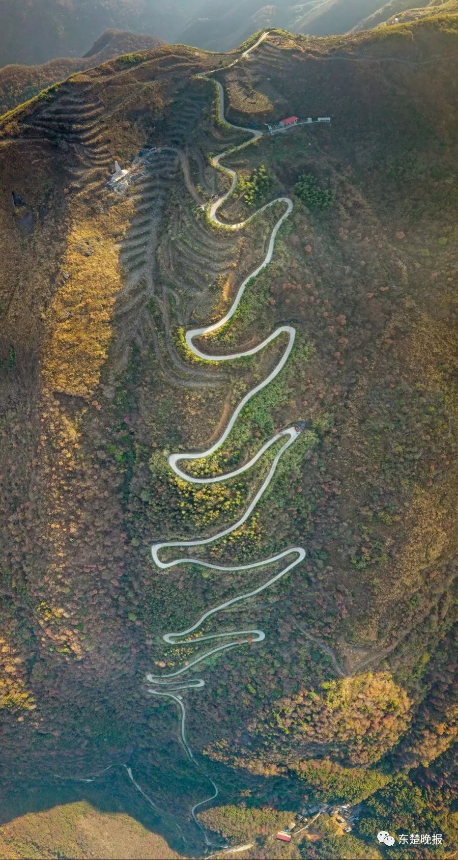 365天，行走3.2万千米，拍摄13万张照片！黄石人到底有多“野”？