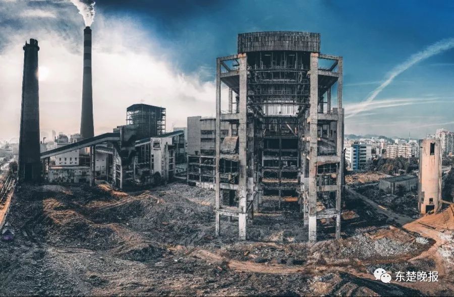 365天，行走3.2万千米，拍摄13万张照片！黄石人到底有多“野”？