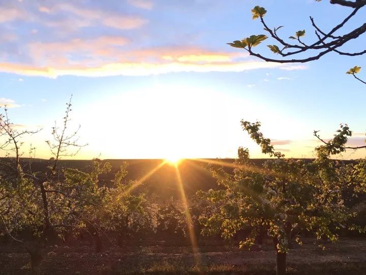 福布斯的商业模式,福布斯商业运营