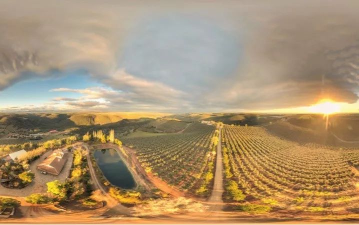 福布斯的商业模式,福布斯商业运营