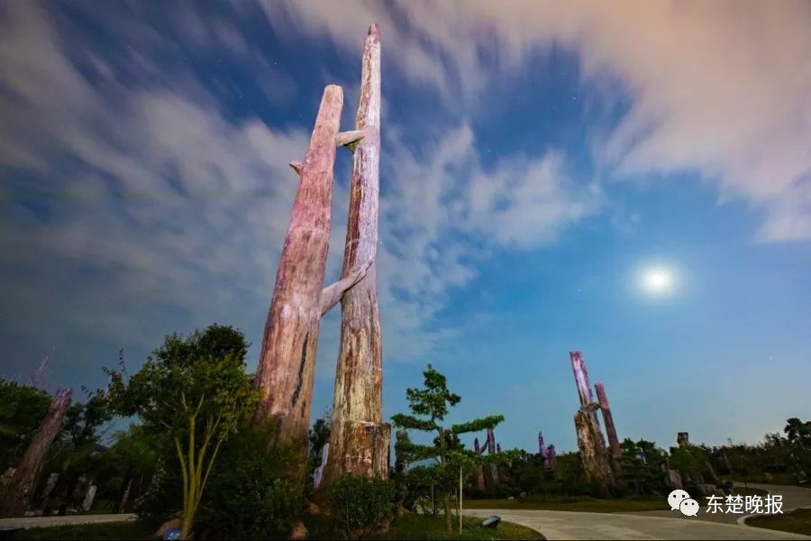 365天，行走3.2万千米，拍摄13万张照片！黄石人到底有多“野”？